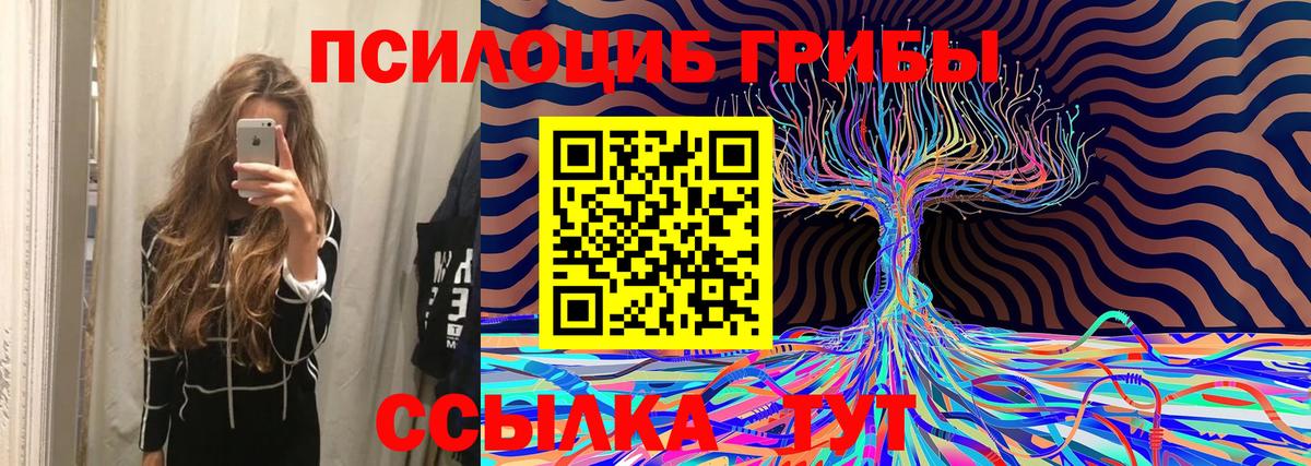 Галлюциногенные грибы Psilocybe  Вход с VPN  цена   Обь  Псилоцибиновые грибы Cubensis 