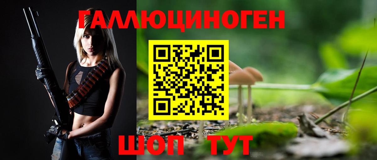 Псилоцибиновые грибы Psilocybine cubensis Обь